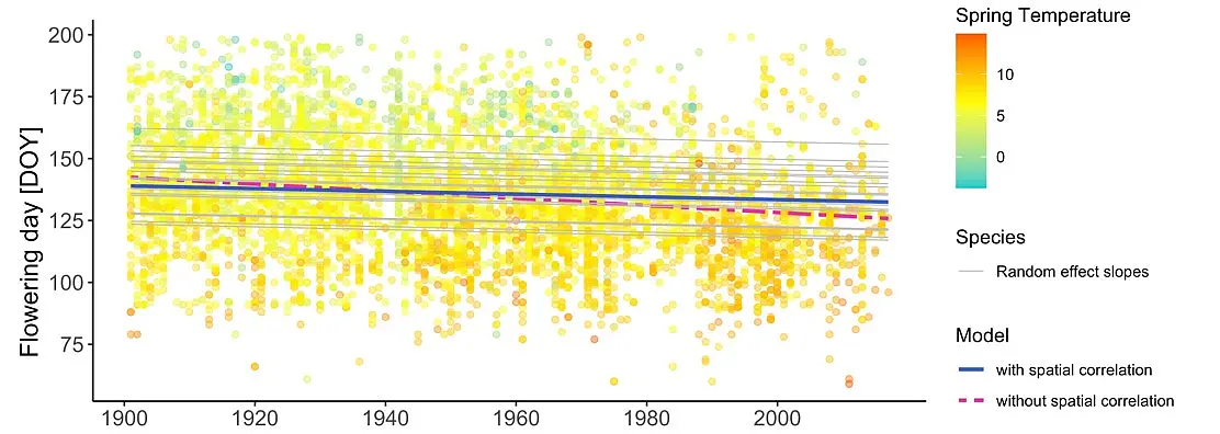 Diagram of long-term trends in the flowering times of forest plants from 1900 to the present shows how the flowering time of different specimens increasingly shifted forward over the years.