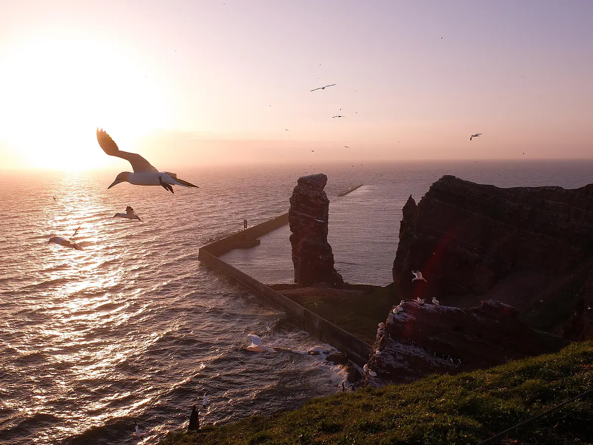 Küstenlinie von Helgoland in der Deutschen Bucht, Nordsee. Helgoland zeichnet sich durch eine reiche marine Artenvielfalt aus, die anfällig für Umweltverschmutzungen wie freigesetztes Öl ist.