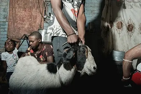 A sacrifice being made during a sangoma initiation