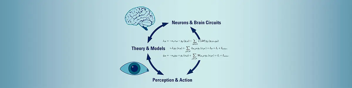 The research circle of Sensory and Sensorimotor Systems