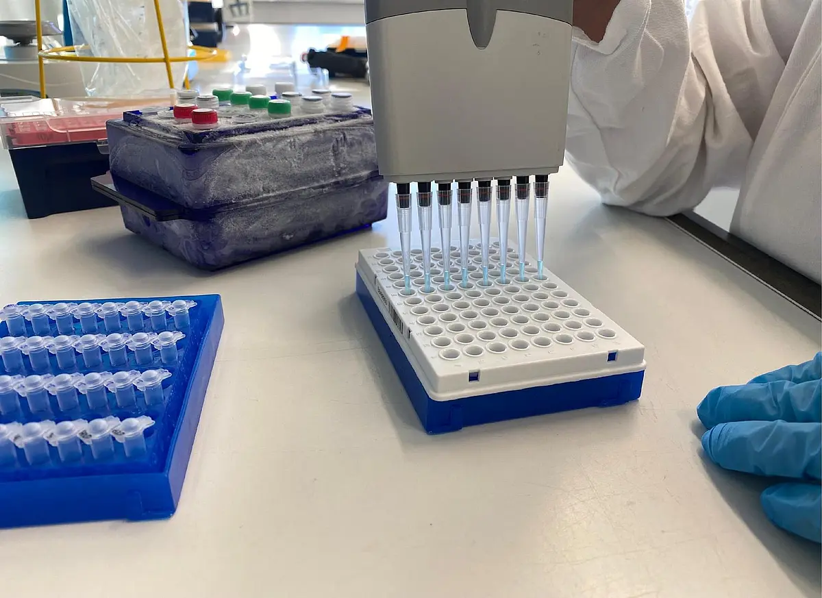 Laboratory work with protective gown and gloves