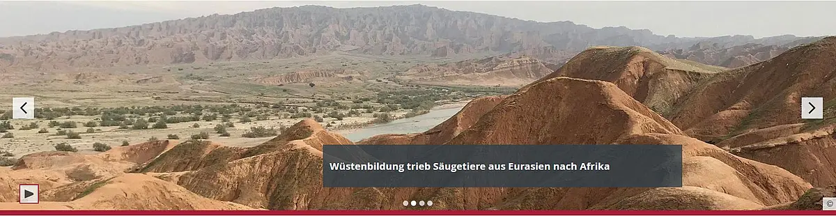 Wichtige Nachrichten
