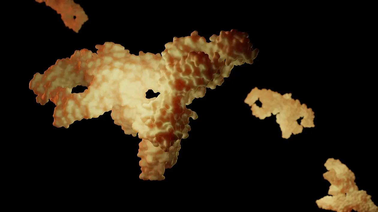 Representation of antibody sIgA 6LX3 as irregularly shaped yellow-white chunks