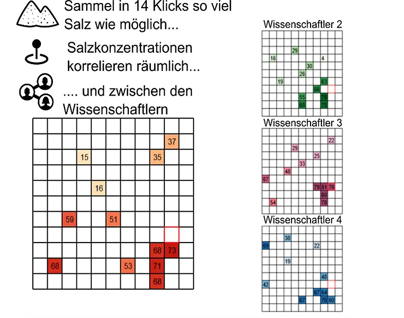 Bild zeigt den Versuchsaufbau, 4 Grids, eines  für jeden Teilnehmer in der Gruppe. In den Grids ist angezeigt, wieviel "Salz" jeder Spieler in welcher Region bereits ein gesammelt hat.