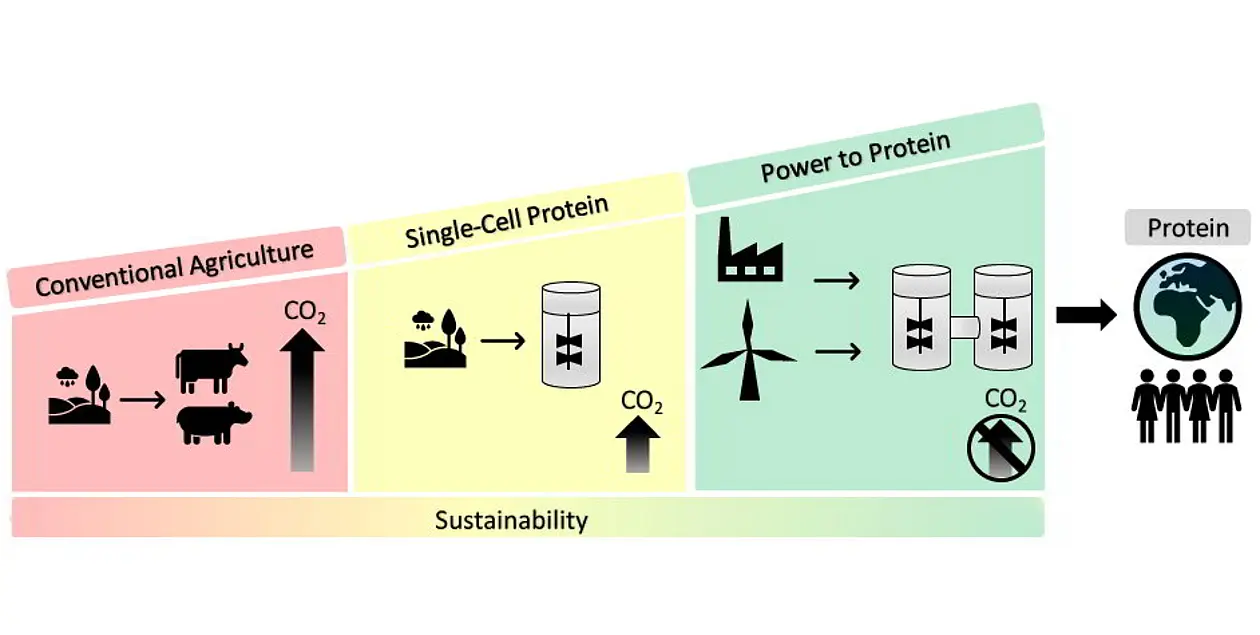 Das neue biotechnologische Verfahren hat das Potenzial eine zukünftige Weltbevölkerung klimaneutral mit Eiweiß zu versorgen, ohne dafür auf konventionelle Landwirtschaft angewiesen zu sein.