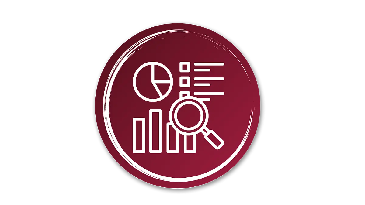 Icon Begleitforschung