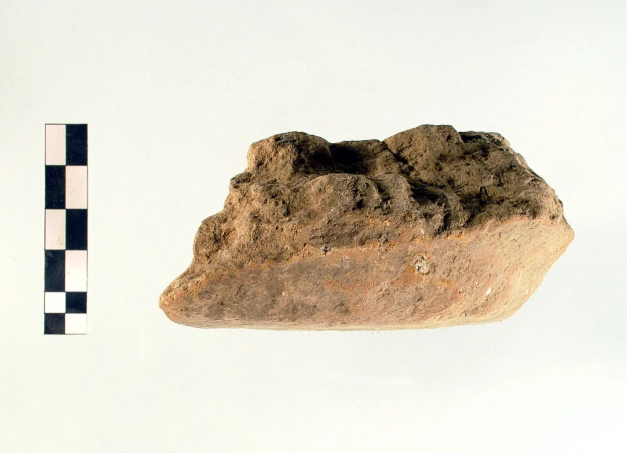Early Neolithic sherd, shape unknown, fro the site of Balsignano (Modugno) in Apulia, Italy, dating to 5600-5450 cal. BC. Photo credit: Dr Italo M. Muntoni.