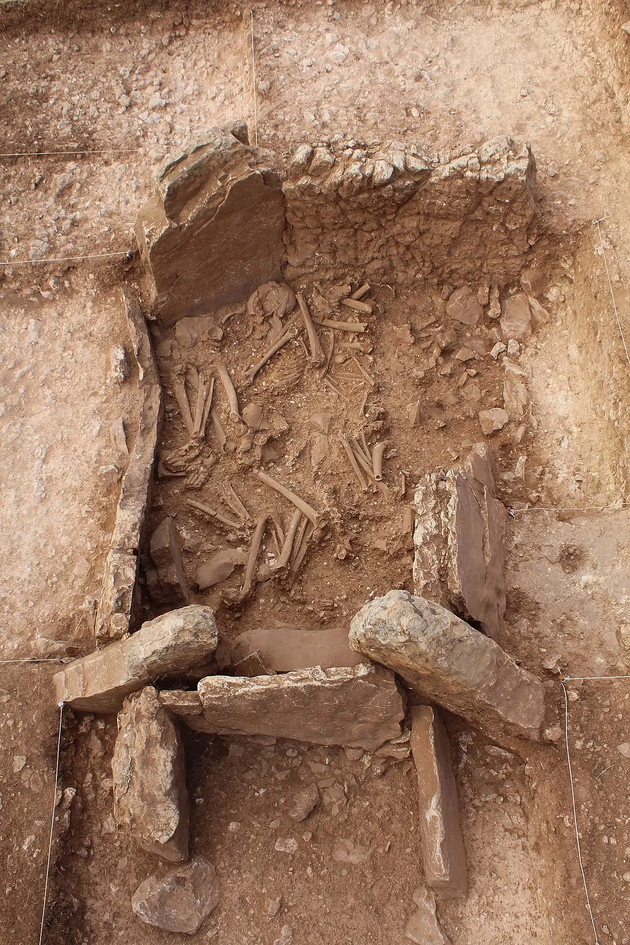 Human bone  from Tomb in Panoria