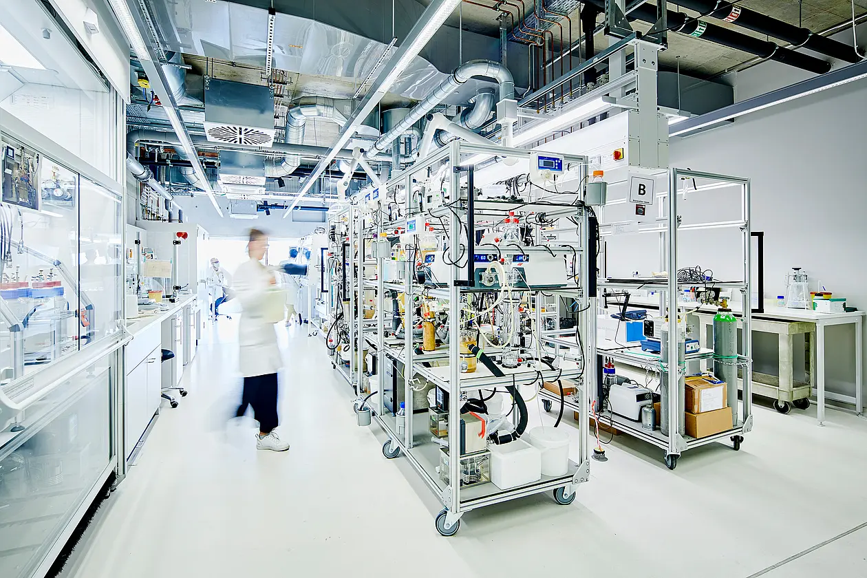 A laboratory in the University of T&uuml;bingen