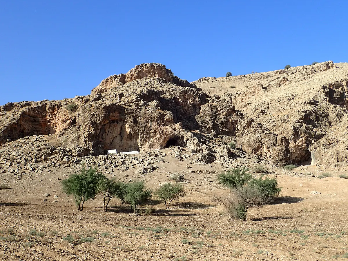 The findings from the Ghar-e Boof site reveal that the diet of the local hominins included carnivores and tortoises, among others. 