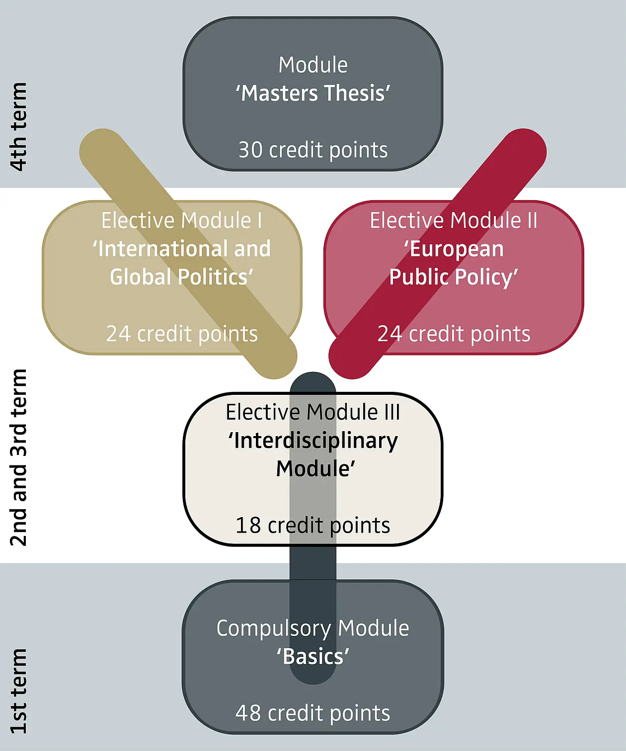 Schematic Y-structure of the Master's programme
