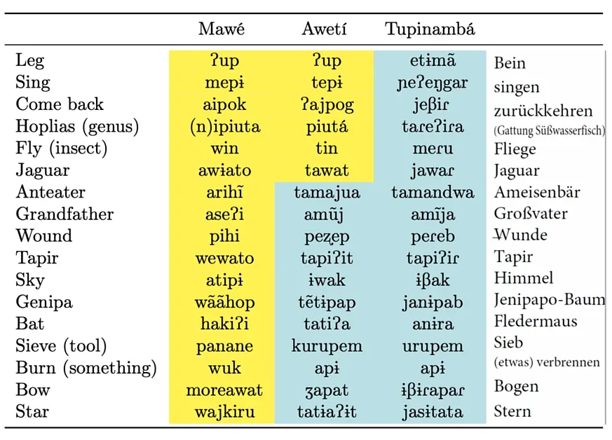 Tupinambá belongs to the Tupí-Guaraní language family; the Mawé and Awetí languages have split off from it and developed differently. Related words in Mawé and Awetí that do not exist in Tupinambá are highlighted in yellow. Related words in Awetí and Tupinambá, for which there is a completely different term in Mawé, are highlighted in blue. 