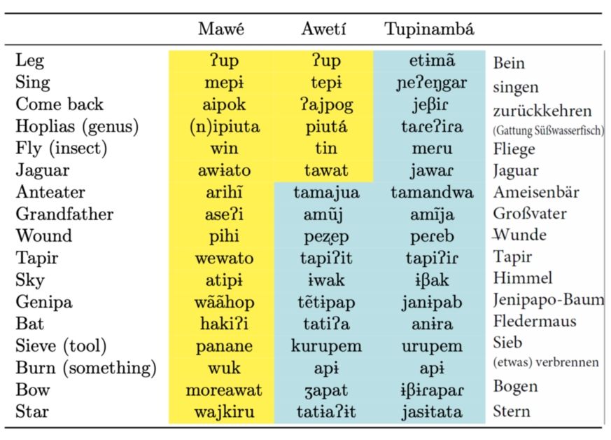 Tupinambá belongs to the Tupí-Guaraní language family; the Mawé and Awetí languages have split off from it and developed differently. Related words in Mawé and Awetí that do not exist in Tupinambá are highlighted in yellow. Related words in Awetí and Tupinambá, for which there is a completely different term in Mawé, are highlighted in blue. 