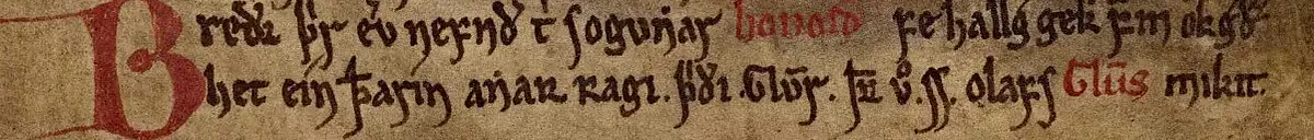 Njáls saga, in: Reykjabók, ca. 1300–1325. Copenhagen, Den Arnamagnæanske Samling, AM 468 4to, fol. 8v.