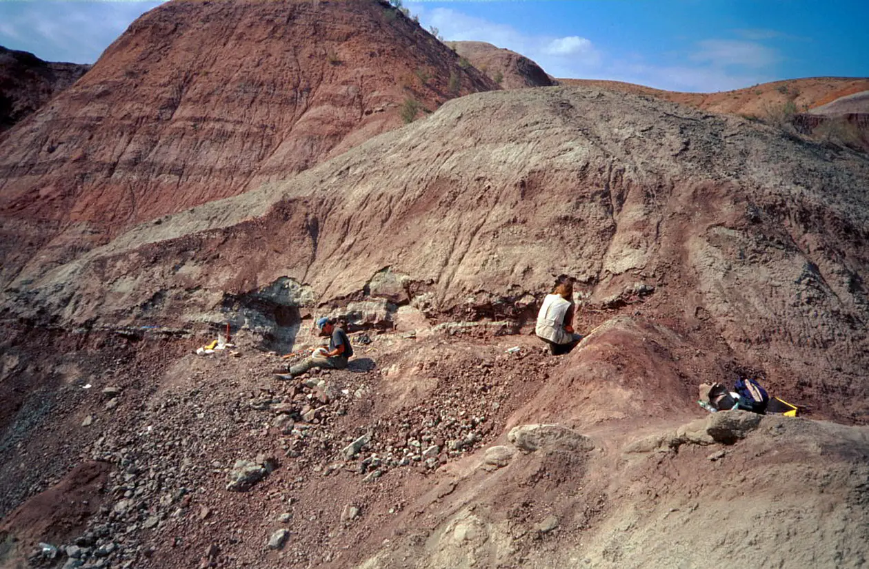 Excavation in the Junggar Basin in northwest China in 2001: Liuhuanggou, the site of the dinosaur carcass find. 
