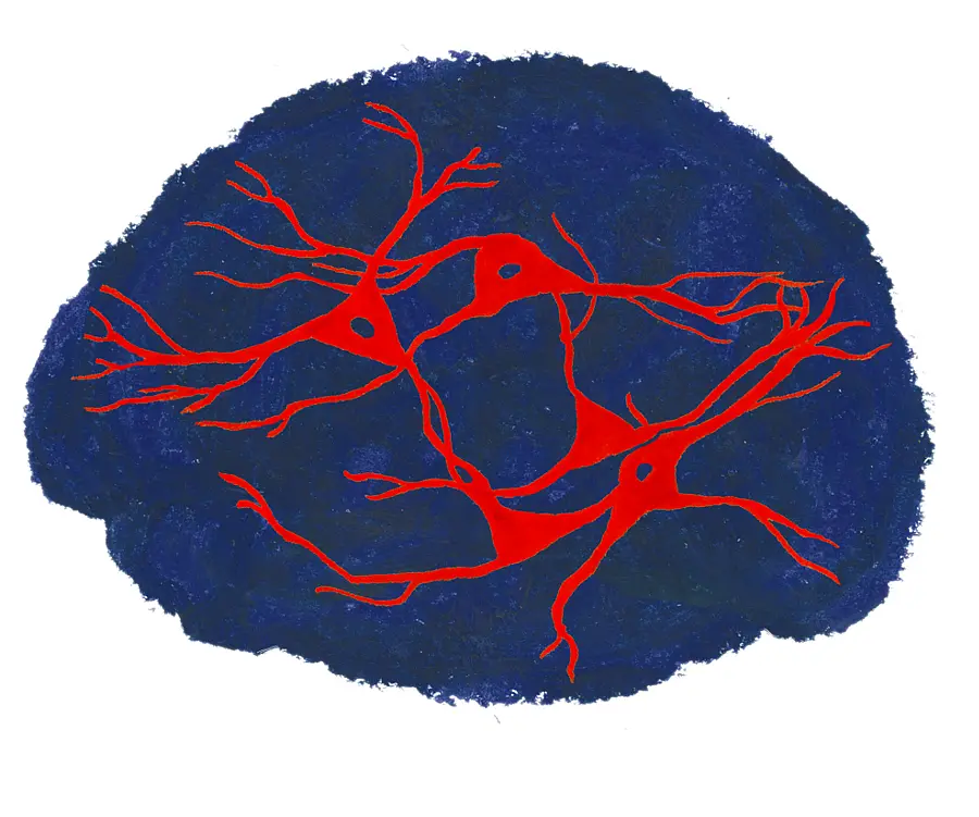 Model of neuronal activity