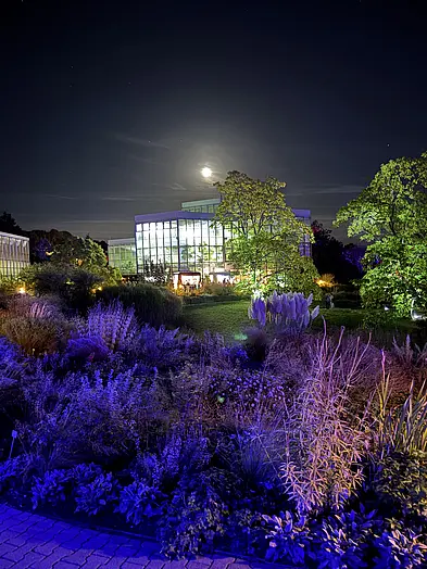 Botanische Lichter im Botanischen Garten der Universität Tübingen