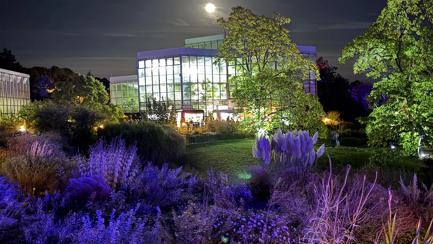 Botanische Lichter im Botanischen Garten der Universität Tübingen