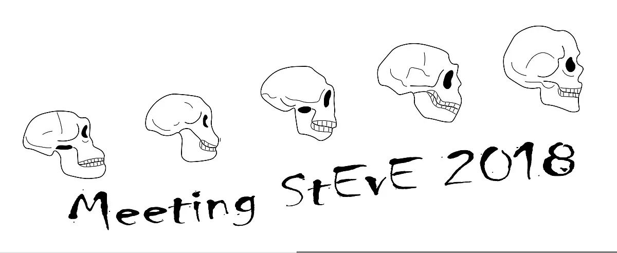 Logo of Meeting StEvE 2018