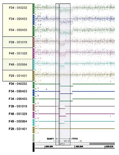 Graph of SNP Array