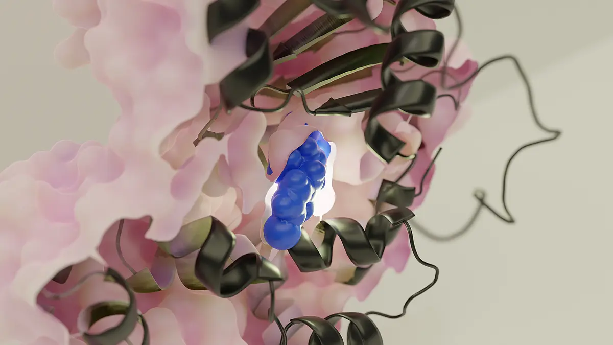 Ein detaillierter Blick in das Innere eines Proteins.