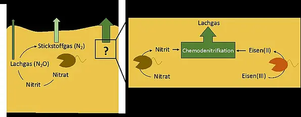 Grafik zur Entstehung von Lachgas in Meeressedimenten