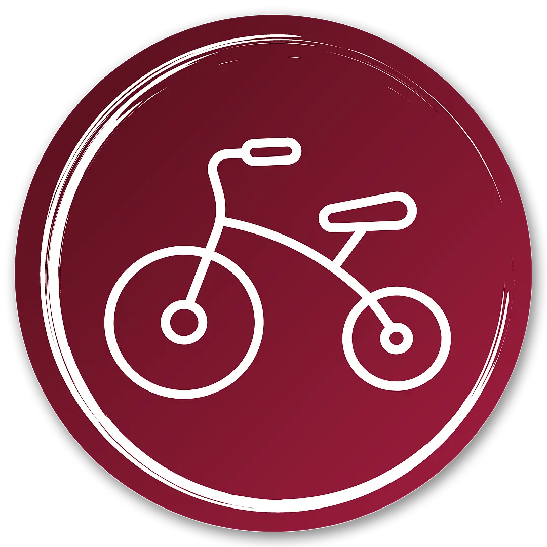 Icon Fahrrad 