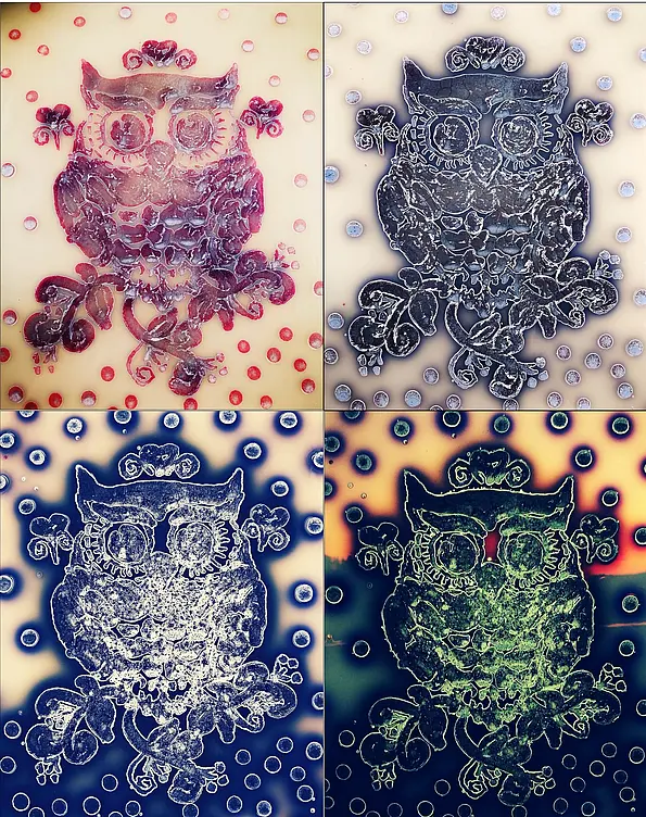 Bacterial Art by A.Bera