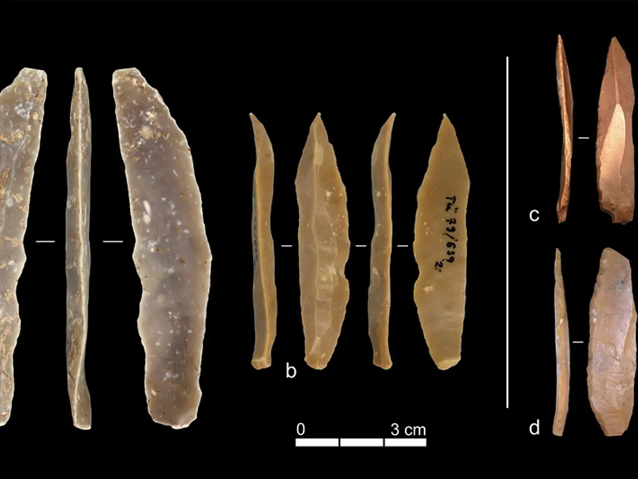 Beispiele für Steinartefakte aus dem Ahmarien von Ksar Akil (a & b) und dem Protoaurignacien von Grotta di Fumane (c) sowie Grotta di Castelcivita (d). Falcucci und Kuhn stellten fest, dass trotz der Ähnlichkeiten in der Endform die technologischen Verfahren zur Herstellung dieser Artefakte deutlich unterschiedlich waren. Die Tafeln a und b stammen aus der Steinartefaktsammlung der Universität Tübingen; Tafel c ist adaptiert aus Falcucci et al. (2022), Tafel d aus Falcucci et al. (2024). 