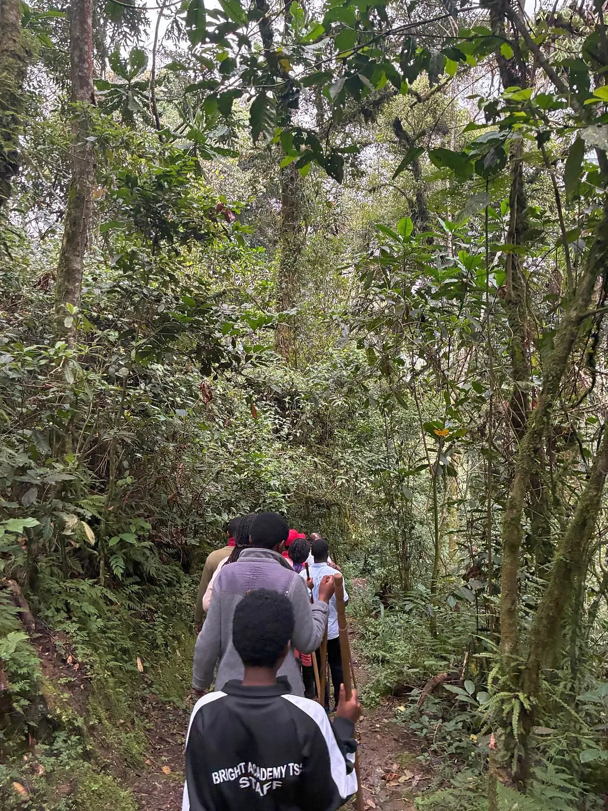 Gruppe von Menschen von hinten, die hintereinander auf einem schmalen Pfad durch den Regenwald gehen