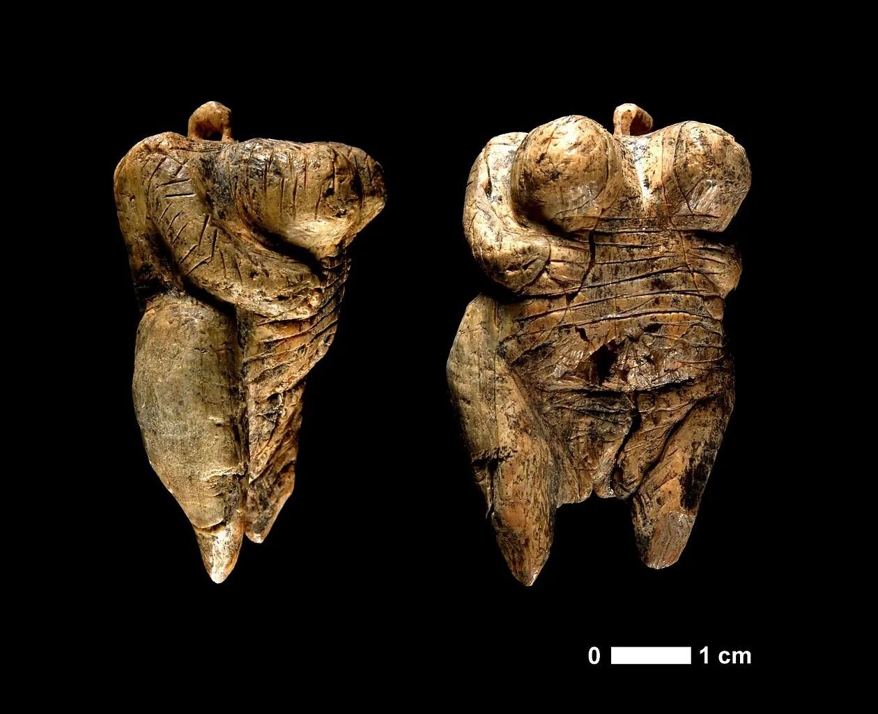 Die Venus vom Hohle Fels. Bild: H. Jensen, Universität Tübingen