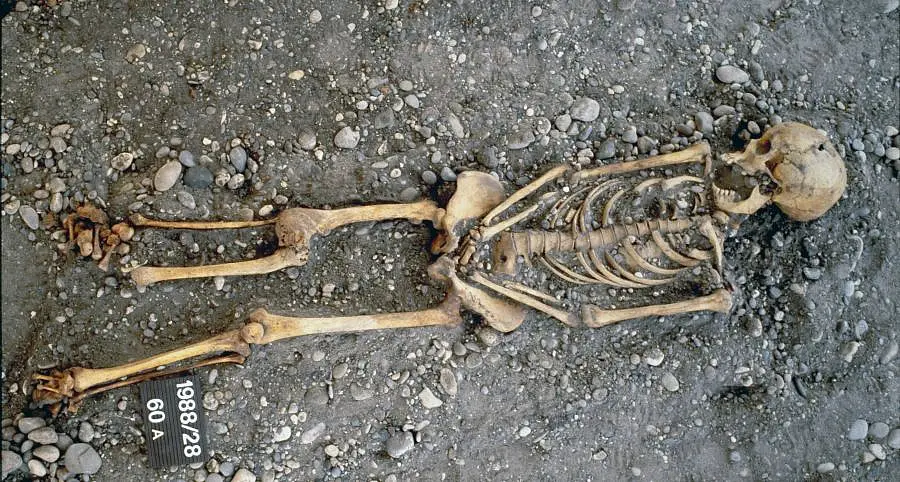Ausgegrabenes Skelett einer Frau aus dem 19. Jahrhundert