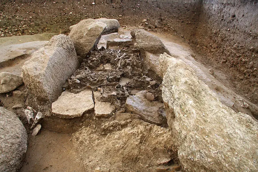 Layer of the human remains found in situ in the Dolmen of Oberbipp