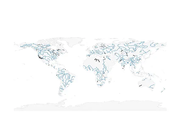 The black lines represent the 34 existing megaprojects. The blue lines are the biggest rivers. 