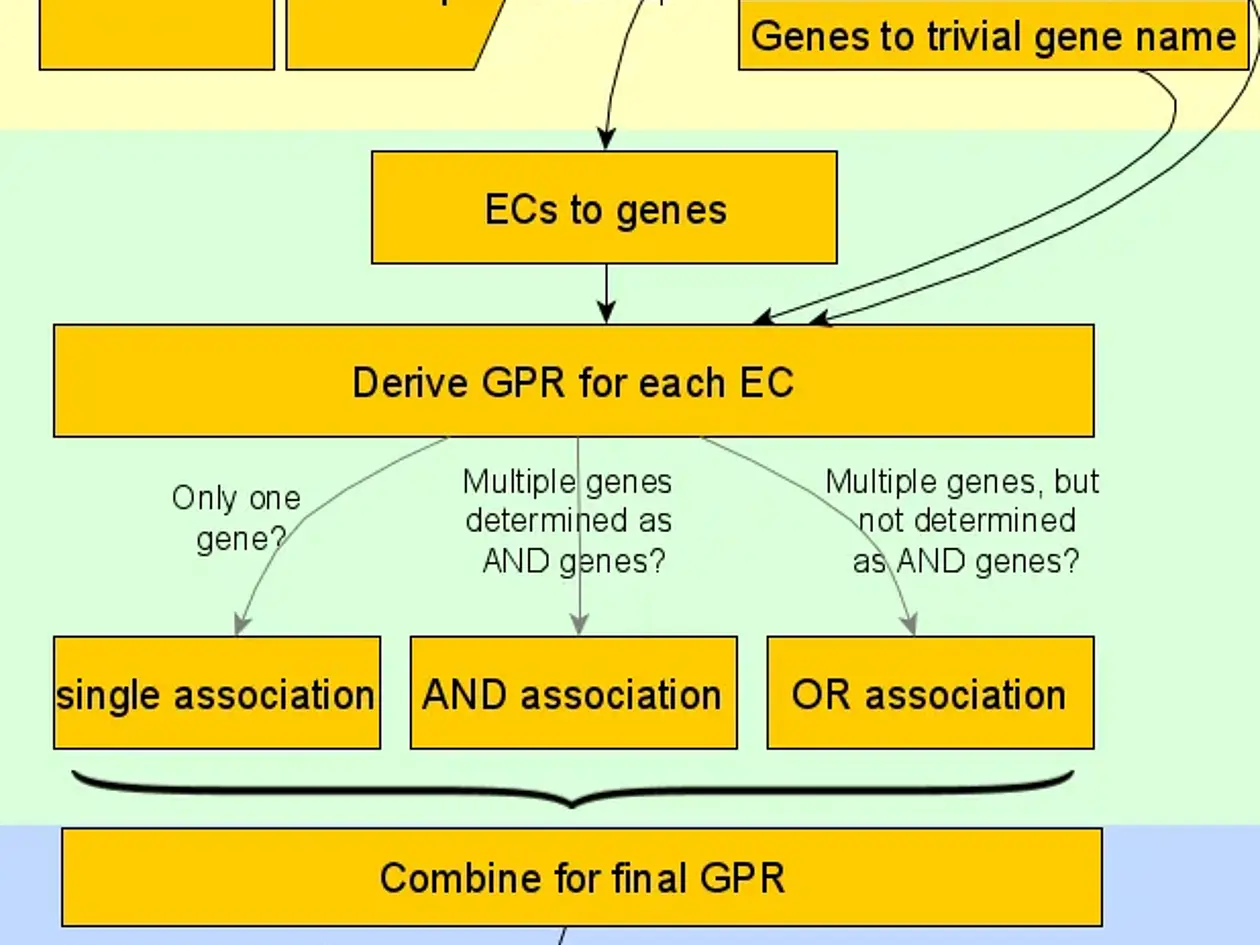 Ein Algorithmus zur Herleitung von Gen-Protein-Reaktions-Regeln