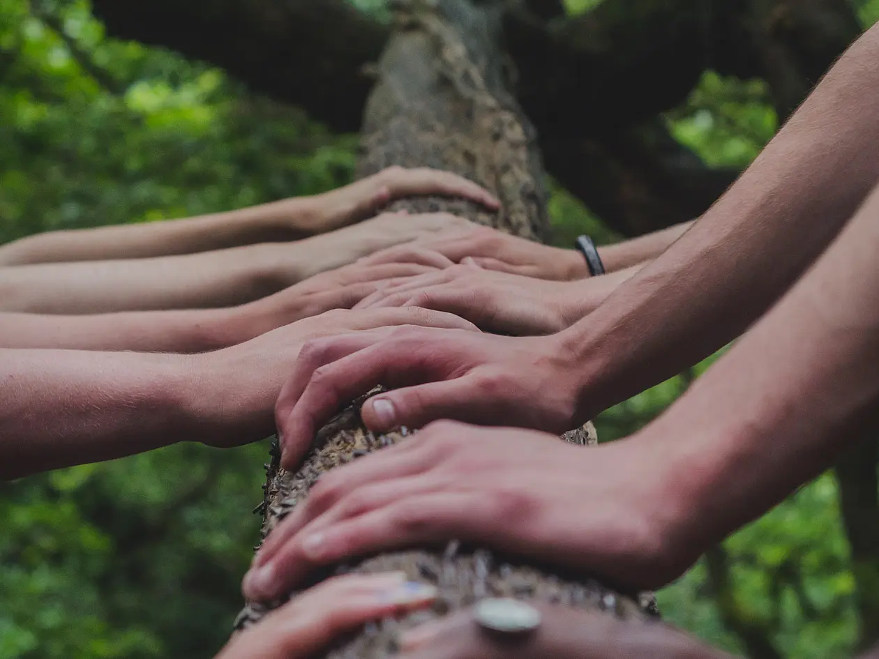Hands on the trunc of a tree