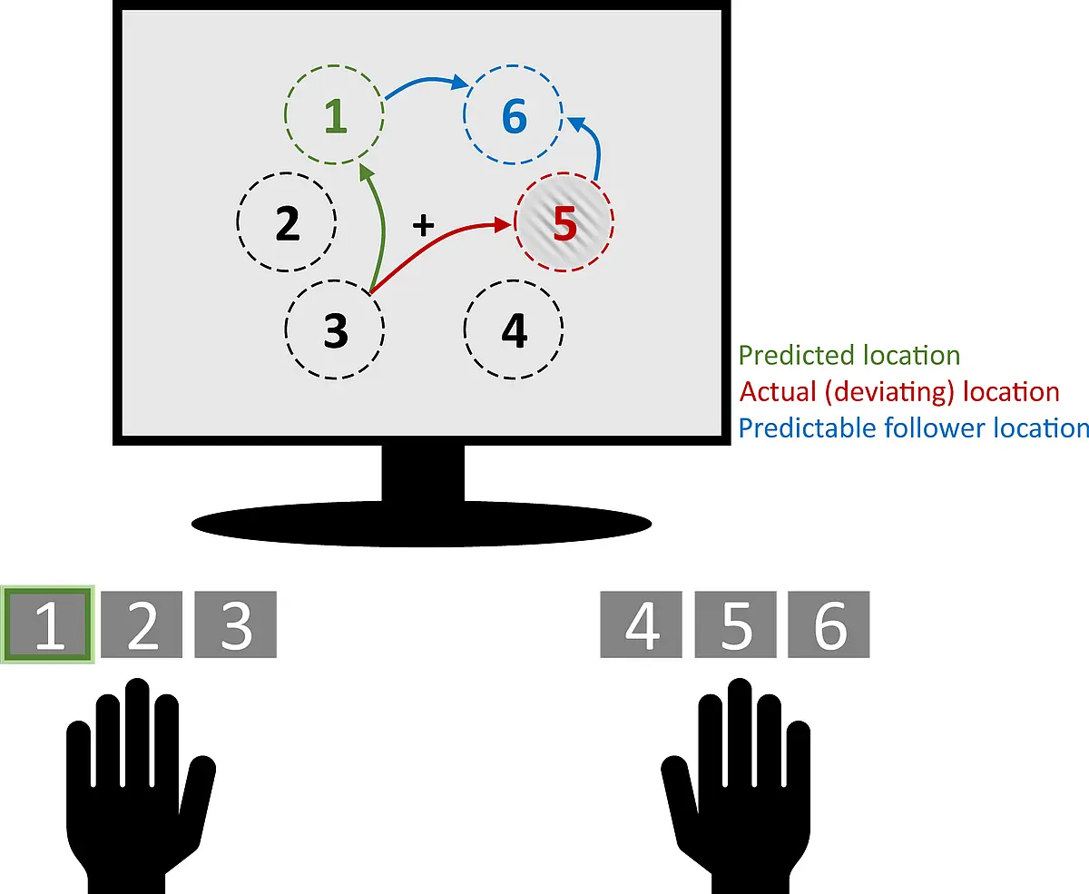 The experiment: subjects had to press the correct button to match a dot lighting up on the screen. Following sleep, the test subjects made more mistakes when the sequence deviated from the one they had learned; subjects who had not slept made fewer errors.