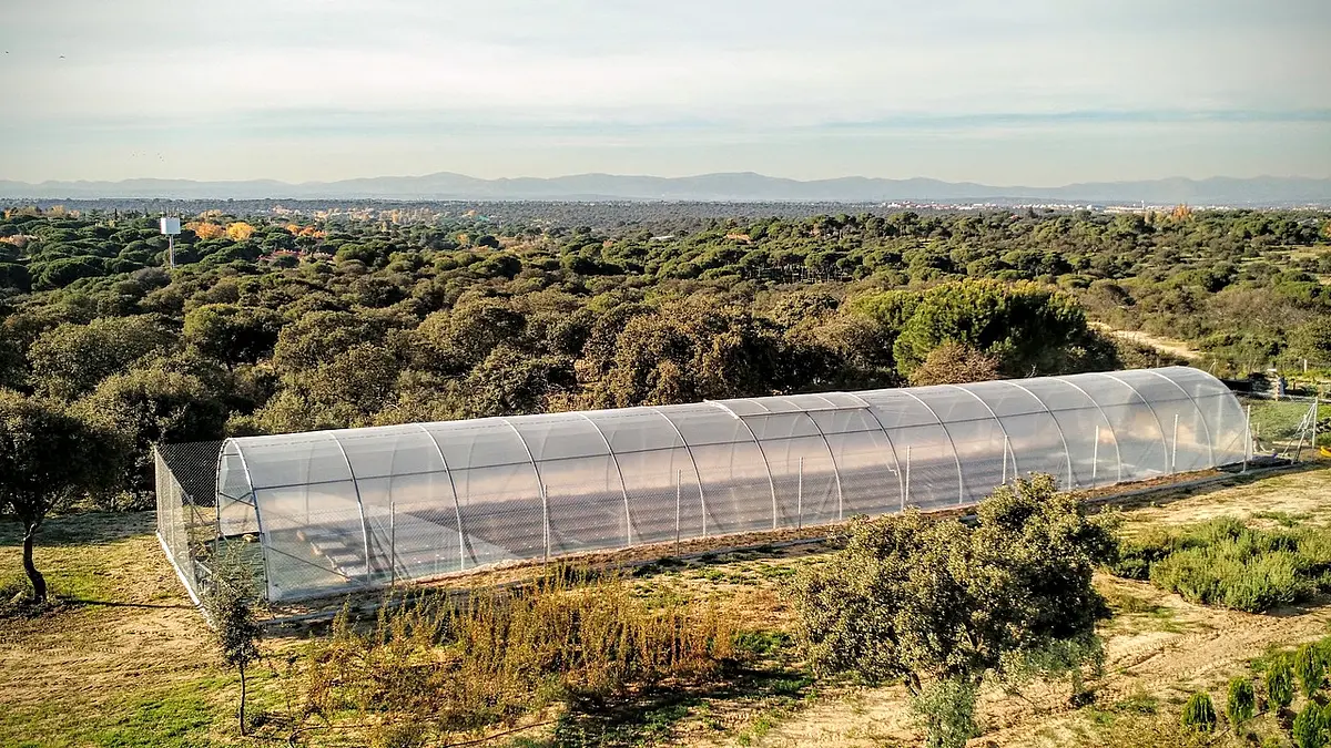 Aerial picture of the experimental site in Madrid, Spain