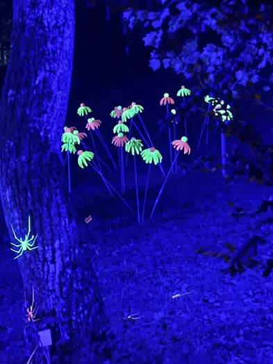 Botanische Lichter im Botanischen Garten der Universität Tübingen