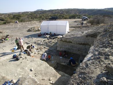 Excavations in the Olduvai Gorge in Tanzania 