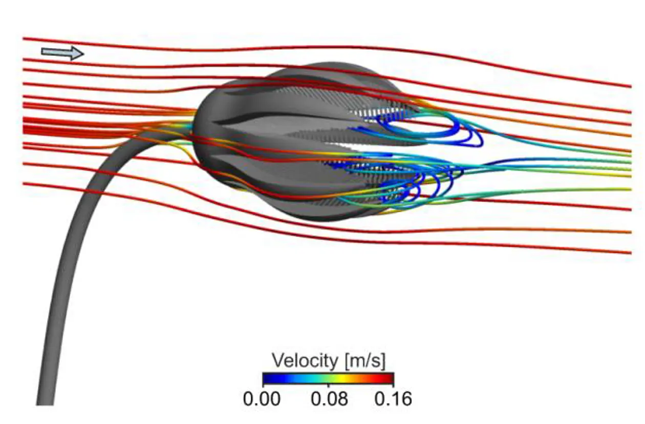 Computersimulationen: Der Transport von Plankton-Teilchen in die Filtervorrichtung des Kelchmodells wird dargestellt. Abbildung: Dynowski et al.