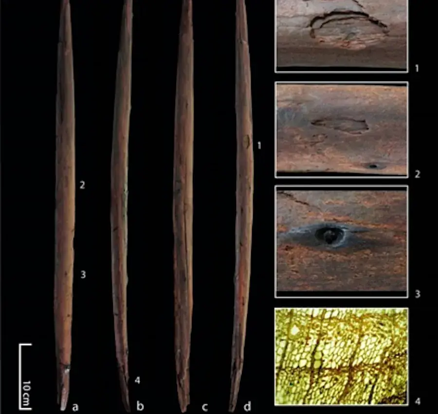 New throwing stick from Schöningen layer 13 II-4 with four views and further details. 