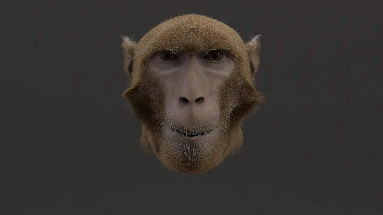 Avatar eines Affen