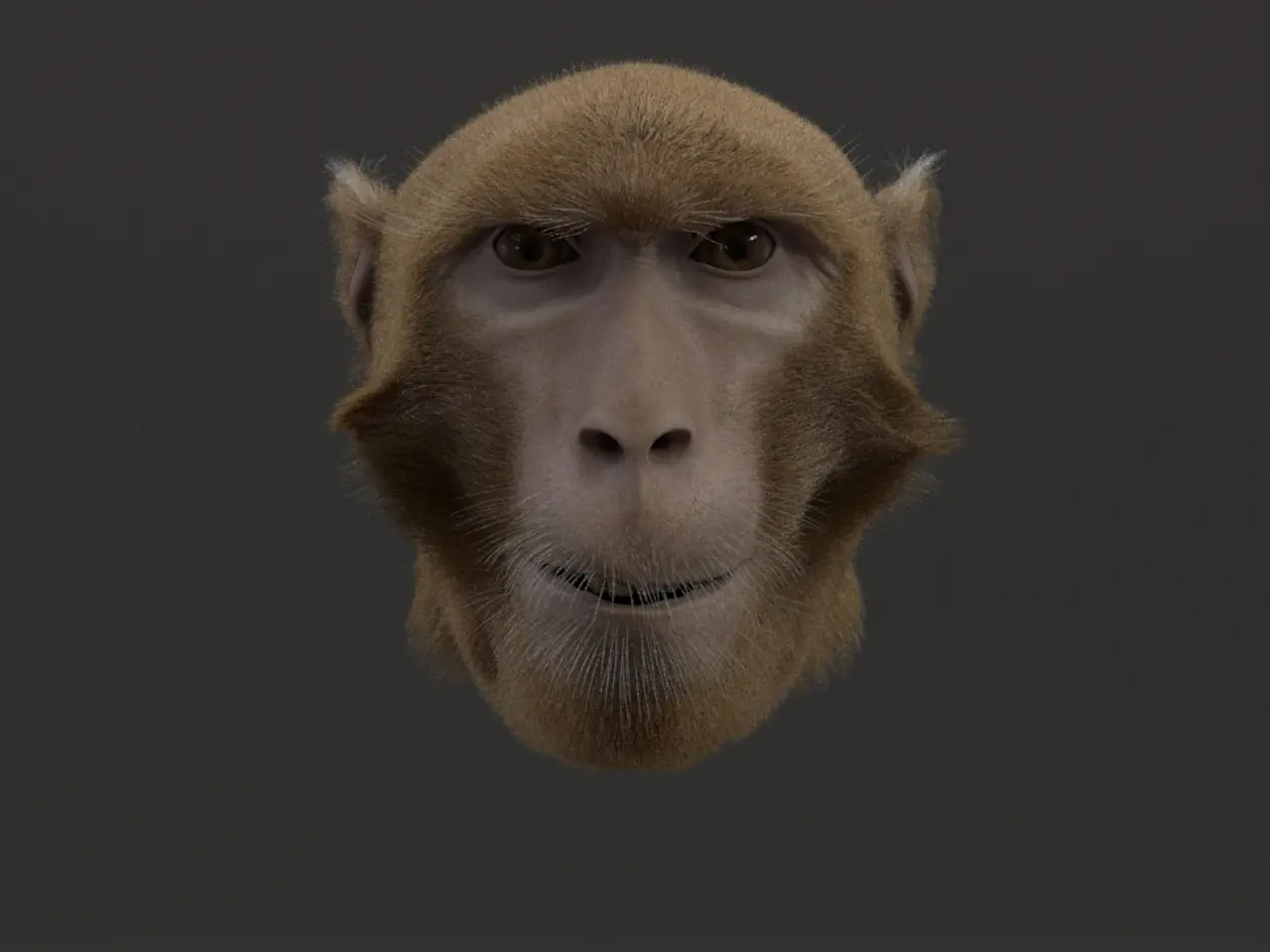 Avatar eines Affen