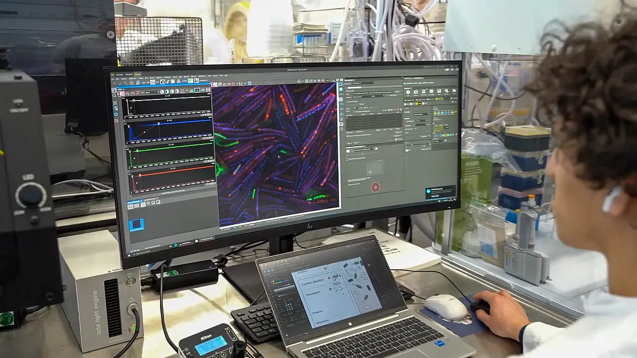 Leonardo Boldt from Lisa Maier's research group uses fluorescence microscopy to investigate the effect of various drugs on functional components of intestinal bacteria.