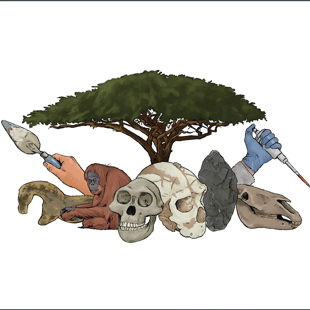 A drawing of a Baobab-Tree. Under its crown there are different iconic symbols for the cluster grouped, including a hand holding a trowel, a hand holding a syringe, the Paleolithic figurine of a horse, an animal skull of a large mammal, two fossils of humanoin skulls, an sitting orang utan and a stone tool. 