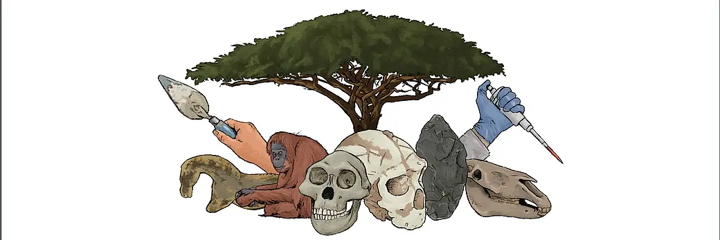 A drawing of a Baobab-Tree. Under its crown there are different iconic symbols for the cluster grouped, including a hand holding a trowel, a hand holding a syringe, the Paleolithic figurine of a horse, an animal skull of a large mammal, two fossils of humanoin skulls, an sitting orang utan and a stone tool. 