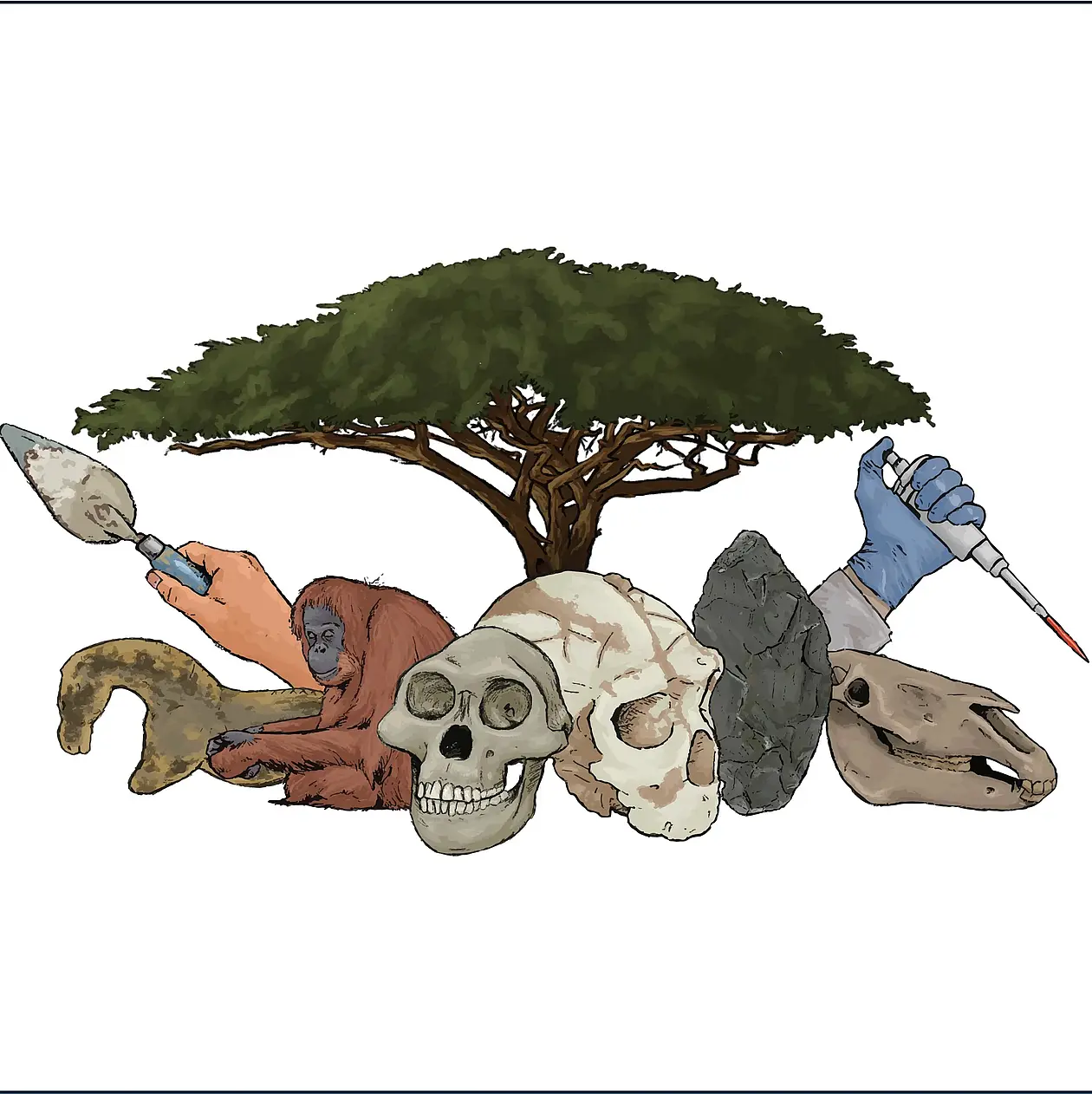 A drawing of a Baobab-Tree. Under its crown there are different iconic symbols for the cluster grouped, including a hand holding a trowel, a hand holding a syringe, the Paleolithic figurine of a horse, an animal skull of a large mammal, two fossils of humanoin skulls, an sitting orang utan and a stone tool. 