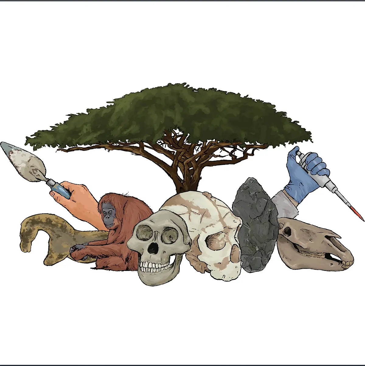 A drawing of a Baobab-Tree. Under its crown there are different iconic symbols for the cluster grouped, including a hand holding a trowel, a hand holding a syringe, the Paleolithic figurine of a horse, an animal skull of a large mammal, two fossils of humanoin skulls, an sitting orang utan and a stone tool. 