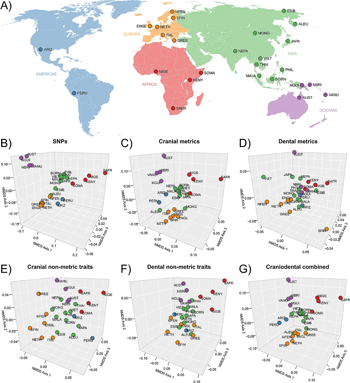Comparison between worldwide genetic diversity and morphological diversity of skulls and teeth. 